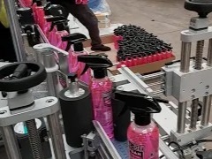 ALline 3-Roller Transparent Labels